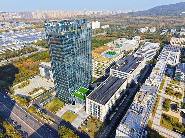 Anhui Wanyi Science and Technology Co., Ltd.