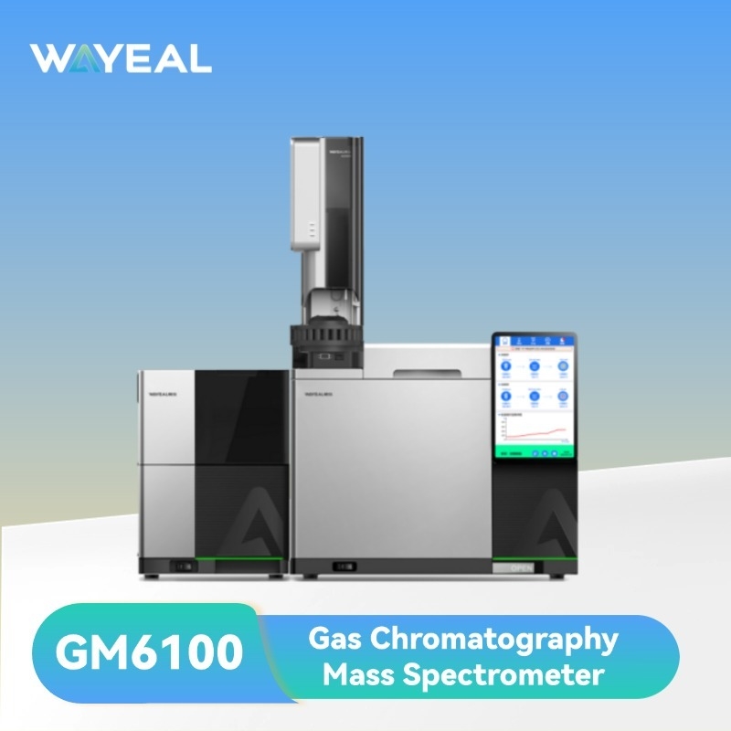10,1 inch touchscreen GC-MS gaschromatograaf-massaspectrometer met EI-ionenbron