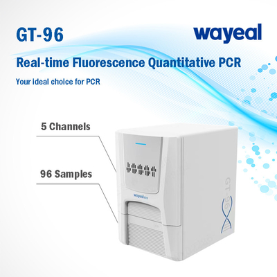 Snelle het Testen Fluorescentie Kwantitatieve PCR Analyzer 96 Putten In real time 5 Kanalen